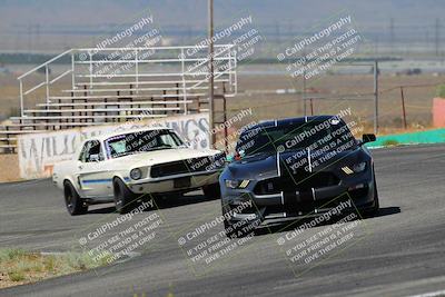 media/May-07-2022-Cobra Owners Club of America (Sat) [[e681d2ddb7]]/White/Session 1 (Turn 4)/